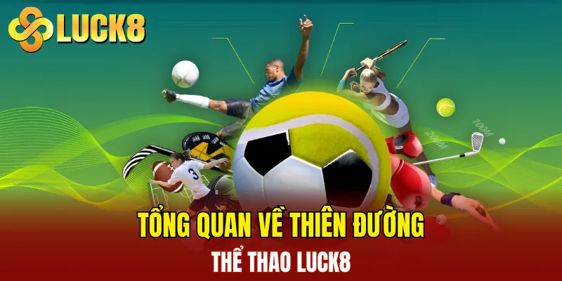 Thể Thao LUCK8 1 Tổng quan về thiên đường thể thao LUCK8
